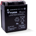 Yuasa YT14B-BS Maintenance Free 12-Volt AGM Battery w/Bottle