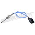 Walker Products Inc. - Sensors exhaust detail