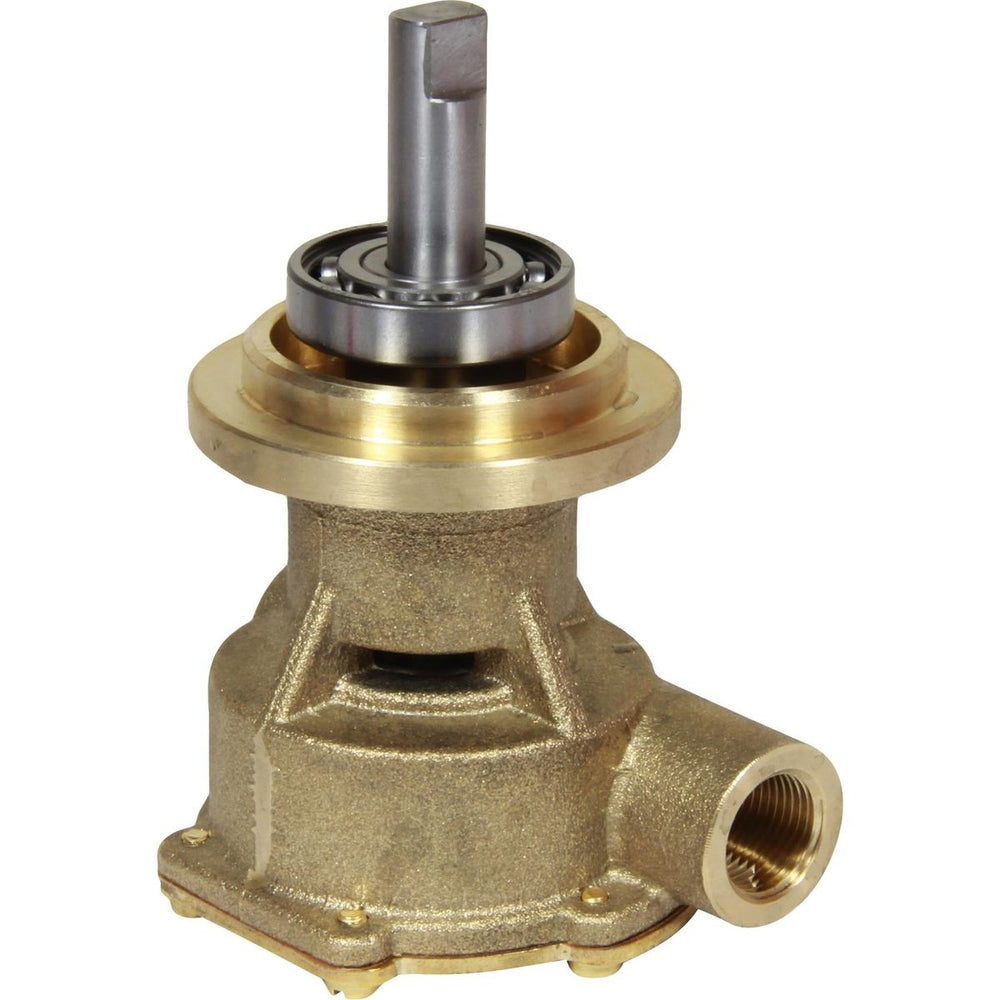 Johnson Pump auto part