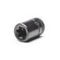 SET SKT TORX & HEX BIT MAST 80PC