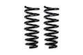 Eibach springs installed view