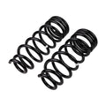 ARB OME Prado 250 Coil Spring - Rear