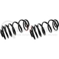 COIL SPRINGS