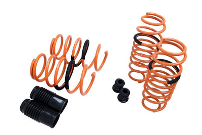 Megan Racing springs
