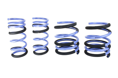 ISC Suspension springs