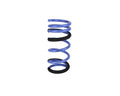 ISC Suspension springs