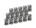 Supertech Toyota Supra 2JZ-GE/2JZ-GTE Dual Valve Spring - Set of 16