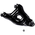 CONTROL ARM W/ BALL JOINT