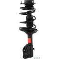 QUICK-STRUT STRUT AND COIL SPRING A