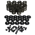 1.470 Dual Valve Spring Kit - w/Damper