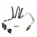 O2 OXYGEN SENSOR