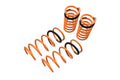 Megan Lowering Springs Saturn VUE 02-07 33 LBs.