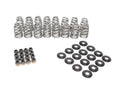 Beehive Valve Spring Kit .625