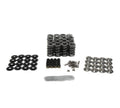 Beehive Valve Spring Kit .625