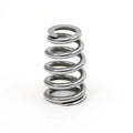 Beehive Valve Spring Kit .625