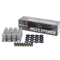 Brian Tooley Racing springs detail