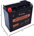 Yuasa GYZ20H-A High Performance Maintenance Free AGM 12-Volt Battery