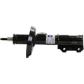 OESPECTRUM STRUT