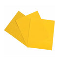SCPM-3 APPLICATION TAPE