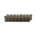 Valve Springs - HR Series (16)