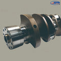 PISTON WITH RINGS