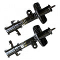 OESPECTRUM PREMIUM STRUT