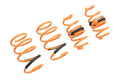 Megan Racing springs