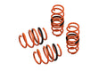 Megan Lowering Springs Honda Civic Type-R 17-21