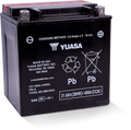 Yuasa YIX30L-BS-PW High Performance Maintenance Free AGM 12-Volt Battery w/Bottle