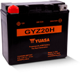 Yuasa GYZ20H High Performance Maintenance Free AGM 12-Volt Battery