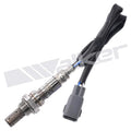 Walker Products Inc. - auto part