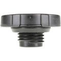 Recessed Cap Assmebly - 2-1/4 Hose