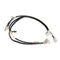 C-PLUG HARNESS, DBW-2010