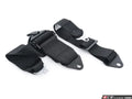 ~(9 lbs. 22X21X5)~ 3-Inch Harness Belts Black 5-Point Camlock