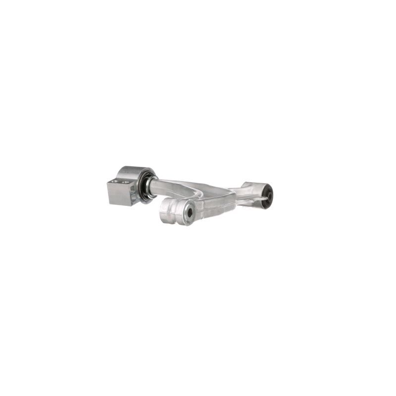 DELPHI control arms