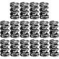 Manley Performance springs detail