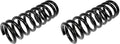 COIL SPRINGS