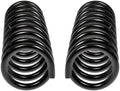 COIL SPRINGS