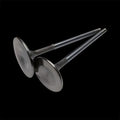 Brian Crower Nissan KA24DE 31.80mm Exhaust Valves