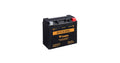 Yuasa GYZ20L High Performance Maintenance Free AGM 12-Volt Battery