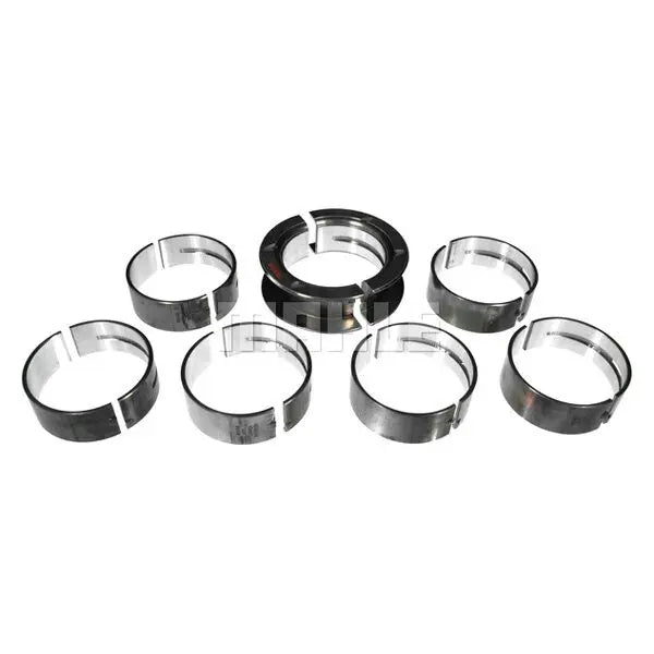 PISTON WITH RINGS