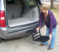 HITCH UP PET STEP FOR 2IN RECEIVER 300LB LIMIT