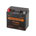 Yuasa GYZ16H High Performance Maintenance Free AGM 12-Volt Battery