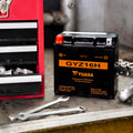Yuasa GYZ16H High Performance Maintenance Free AGM 12-Volt Battery