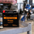 Yuasa GYZ16H High Performance Maintenance Free AGM 12-Volt Battery