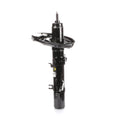 OESPECTRUM PREMIUM STRUT