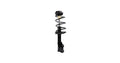 OESPECTRUM PREMIUM STRUT