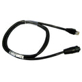 RAYNET-RJ45 CBLE STRAIGHT 100' M400