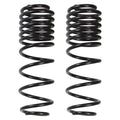 Skyjacker springs detail