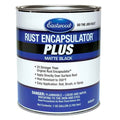 Paint Rust Encapsulator Plus Gallon